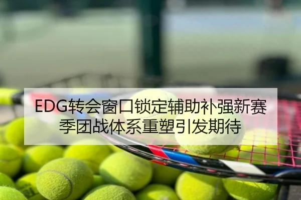 EDG转会窗口锁定辅助补强新赛季团战体系重塑引发期待